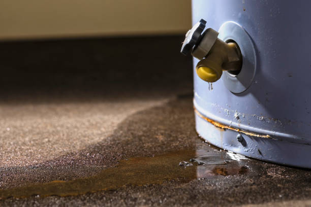 Best Local water damage restoration  in Allendale, CA