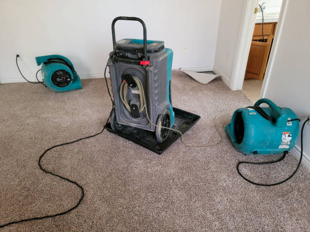 Best 24/7 water damage repair  in Allendale, CA