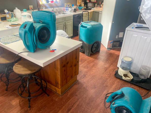 Best Water damage contractors near me  in Allendale, CA