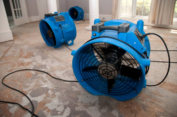 Best 24-hour water damage restoration  in Allendale, CA