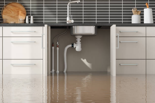 Best Water damage cleanup near me  in Allendale, CA