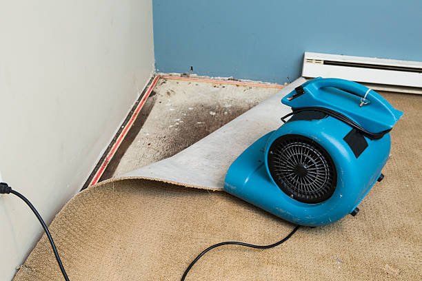 Best Water damage restoration near me  in Allendale, CA